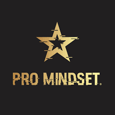 Pro Mindset Podcast