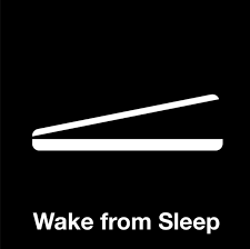 Wake from Sleep