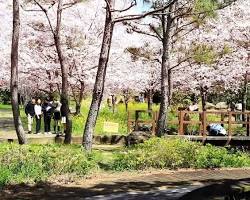 제주 대왕수천예래생태공원 풍경, AI로 생성