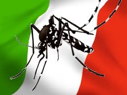 Results images to italy mosquitoes