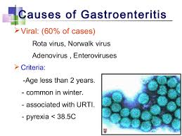 Image result for gastroenteritis