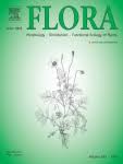 Biological flora of Central Europe: Viscum album L. - ScienceDirect