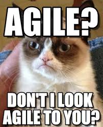 Agile? - Grumpy Cat meme on Memegen via Relatably.com