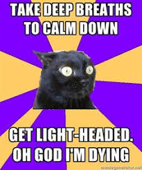 Anxiety Cat Meme on Pinterest | Anxiety Cat, Introvert Cat and ... via Relatably.com