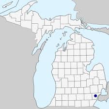 Agrostis canina - Michigan Flora