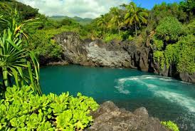 هاواي جزيرة الاحلام  Images?q=tbn:ANd9GcSRSyxd6kp9okTjsKoCCvn_ZS-9oFGXaBxuyviRjFttMW_djA5YG04Pyb-B