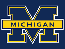 Image result for michigan football