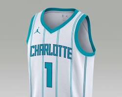 Image of Charlotte Hornets Authentic jersey