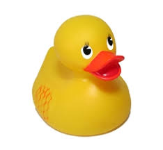 Image result for rubber duck history