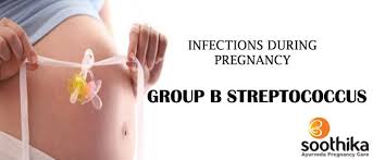 Image result for Group B Streptococcus