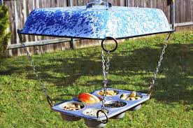 Image result for bird feeders