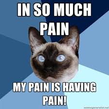 Thursday 25 December 2014 Meme Images « Chronic Illness Cat via Relatably.com