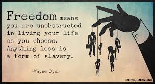 Freedom means you are unobstructed in living your life as you ... via Relatably.com