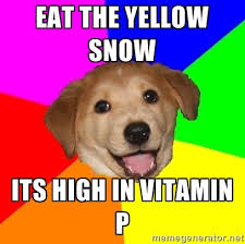 Image result for yellow snow