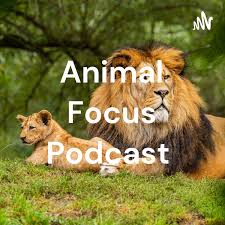 Animal Focus Podcast