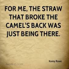 Image result for the straw that broke the camel's back