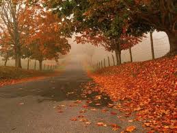 Image result for wallpaper autumn hd resolution free