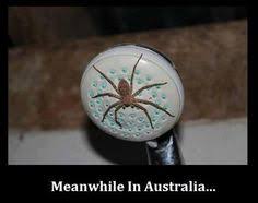Australia Funny on Pinterest | Birthday Funny Memes, Australia ... via Relatably.com
