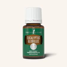 Eucalyptus Globulus Essential Oil | Young Living Essential Oils