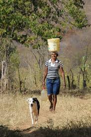 Resultado de imagem para mulheres carregando   água da fonte