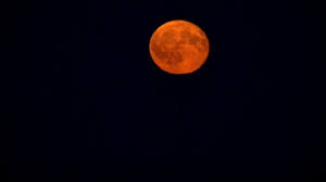 Resultado de imagen de luna naranja