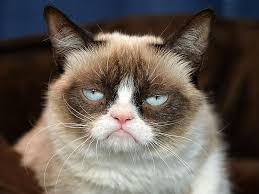 Grumpy Cat Meme Blank - grumpy cat meme generator smile , grumpy ... via Relatably.com