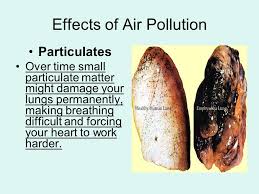 Image result for lung damage due to pollution/pics