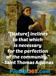 St Thomas Aquinas Laws Quotes. QuotesGram via Relatably.com