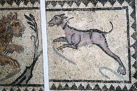 Πόσα είδη σκύλων είχαν οι Αρχαίοι...
