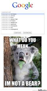Koala Memes. Best Collection of Funny Koala Pictures via Relatably.com