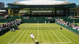 Image result for lawn tennis pictures