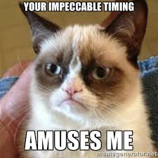 Your Impeccable Timing Amuses Me - Grumpy Cat | Meme Generator via Relatably.com