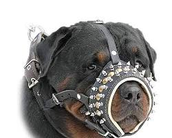 Spike muzzle for dogs