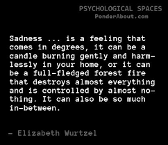 From Prozac Nation-Elizabeth Wurtzel. &quot;Sadness...is a feeling that ... via Relatably.com