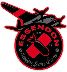 Image result for Essendon logos