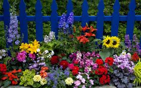 Resultado de imagen para jardines con flores hermosas
