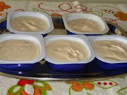 Resultado de imagem para iogurte grego caseiro