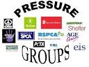 pressure group