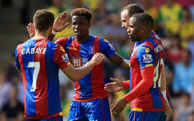 Image result for crystal palace 2016/2017