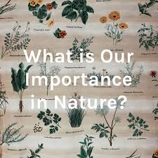 What is Our Importance in Nature?