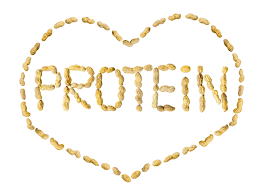 Hasil carian imej untuk protein