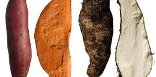 What Is The Difference Between A Sweetpotato And A Yam? - North ...