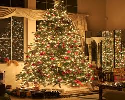 Image result for christmas tree images