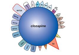 Image result for Clozapine