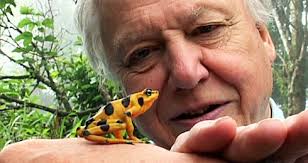 Zurück zu Globalist Sir <b>David Attenborough</b>: Wir sind eine Plage für die Erde - 147b144251afbac
