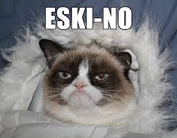 Eski-No | Grumpy Cat | Know Your Meme via Relatably.com
