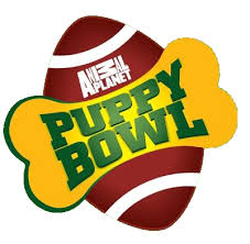 Image result for puppy bowl