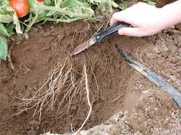Image result for SOIL STRUCTURE