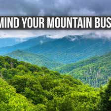 Mind Your Mountain Business