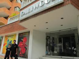 Image result for Caliwood Museum